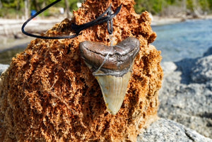 Megladon on a Rope Necklace