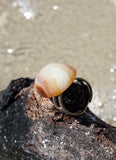 Cabochon shaped Quartz rings.  One size fits all.