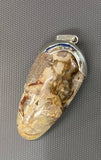 Madagascar Wood Fossil Sterling Silver Pendant