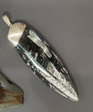 Orthoceras fossil Sterling Silver Pendant